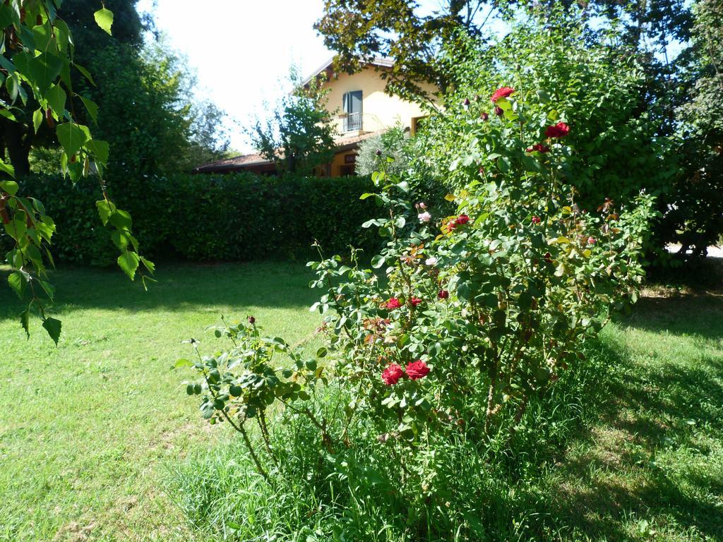 Villa Pian Del Pigro à Rimini Extérieur photo