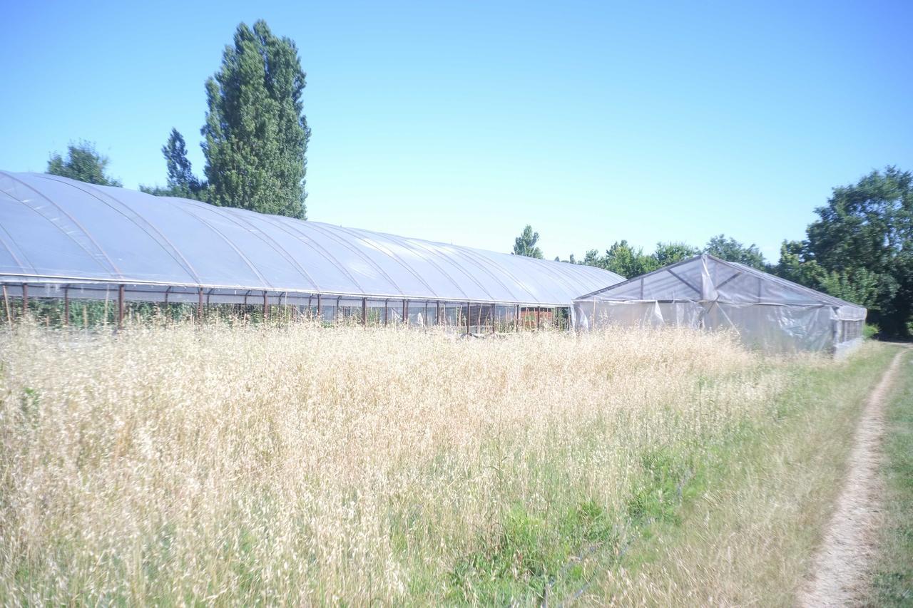 Villa Pian Del Pigro à Rimini Extérieur photo